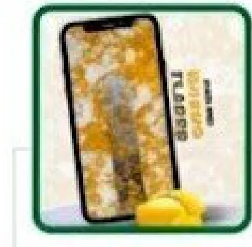 HSDL Mango pack