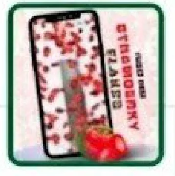 HSDL Strawberry pack