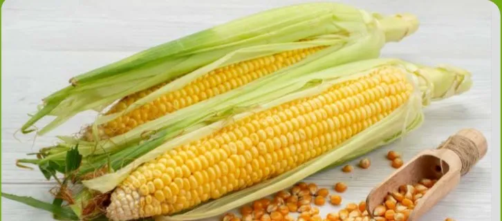 JJMP Agro Marketing Yellow / White Corn pack