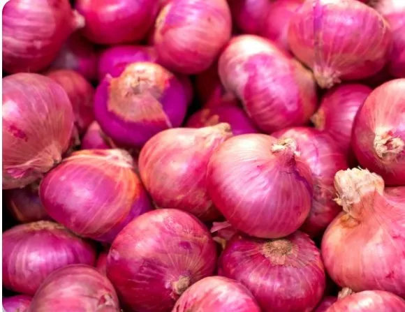 JJMP Agro Marketing Onion pack