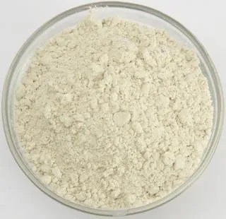 Dilbahar's Anardana Churn pack